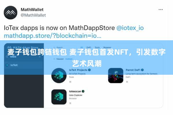 麦子钱包跨链钱包 麦子钱包首发NFT，引发数字艺术风潮