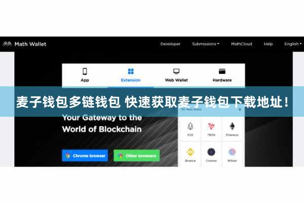 麦子钱包多链钱包 快速获取麦子钱包下载地址！