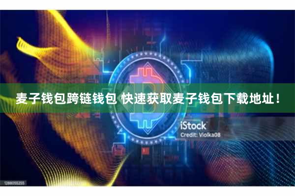 麦子钱包跨链钱包 快速获取麦子钱包下载地址！