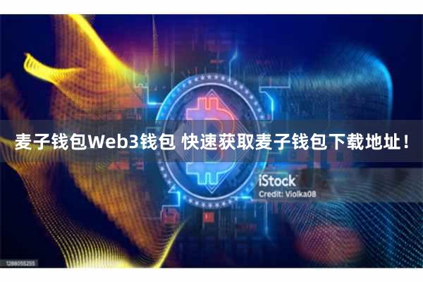 麦子钱包Web3钱包 快速获取麦子钱包下载地址！