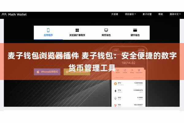 麦子钱包浏览器插件 麦子钱包：安全便捷的数字货币管理工具