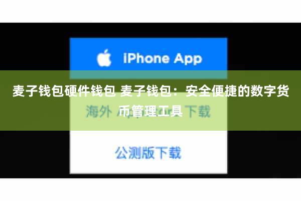 麦子钱包硬件钱包 麦子钱包：安全便捷的数字货币管理工具