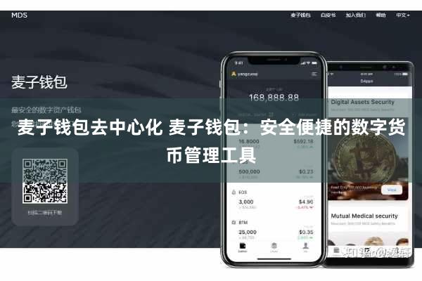 麦子钱包去中心化 麦子钱包：安全便捷的数字货币管理工具