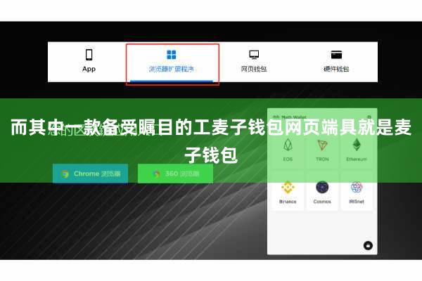 而其中一款备受瞩目的工麦子钱包网页端具就是麦子钱包