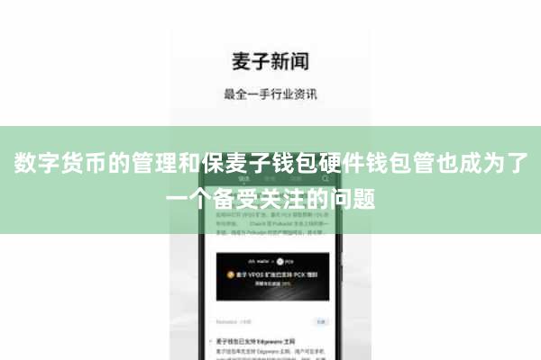 数字货币的管理和保麦子钱包硬件钱包管也成为了一个备受关注的问题