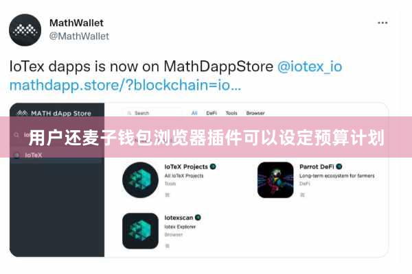 用户还麦子钱包浏览器插件可以设定预算计划