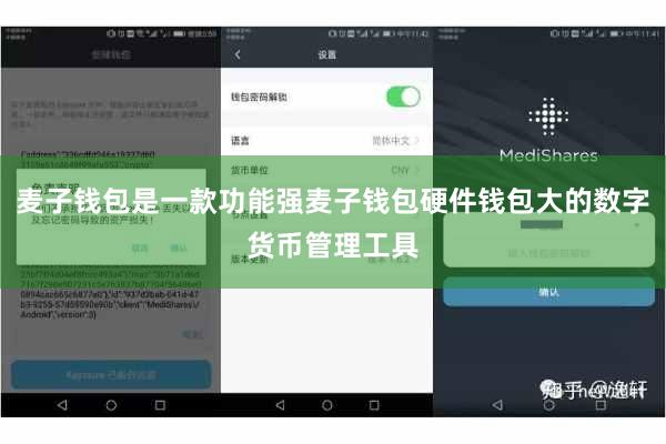麦子钱包是一款功能强麦子钱包硬件钱包大的数字货币管理工具