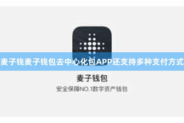 麦子钱麦子钱包去中心化包APP还支持多种支付方式