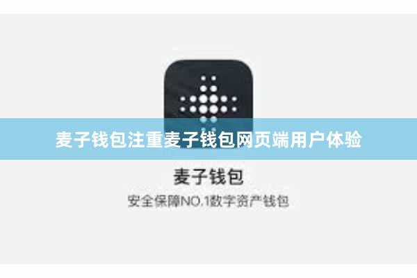 麦子钱包注重麦子钱包网页端用户体验