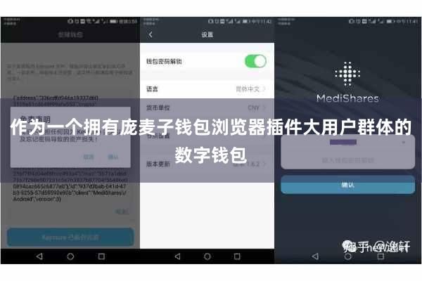 作为一个拥有庞麦子钱包浏览器插件大用户群体的数字钱包