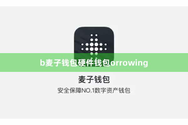 b麦子钱包硬件钱包orrowing
