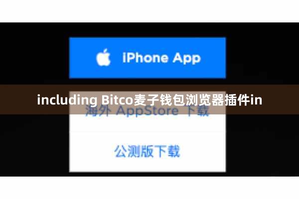 including Bitco麦子钱包浏览器插件in