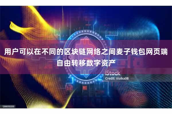 用户可以在不同的区块链网络之间麦子钱包网页端自由转移数字资产