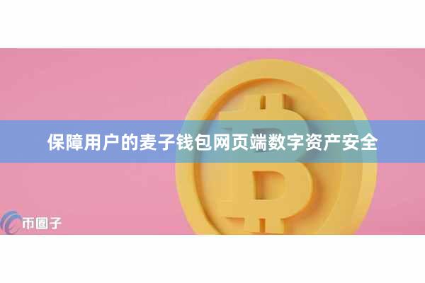 保障用户的麦子钱包网页端数字资产安全