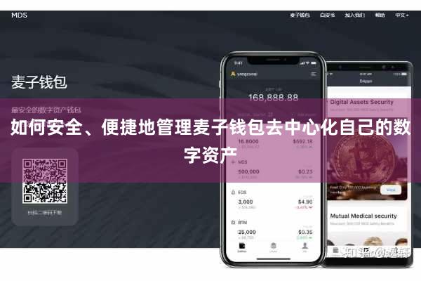 如何安全、便捷地管理麦子钱包去中心化自己的数字资产