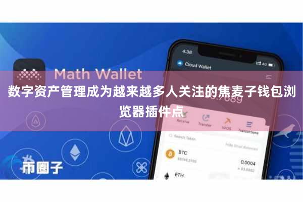 数字资产管理成为越来越多人关注的焦麦子钱包浏览器插件点