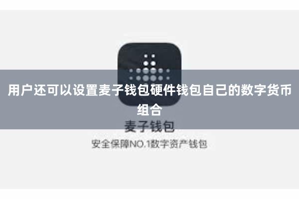 用户还可以设置麦子钱包硬件钱包自己的数字货币组合