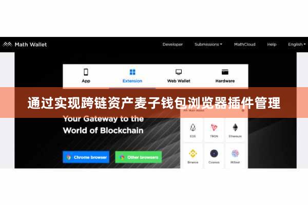 通过实现跨链资产麦子钱包浏览器插件管理