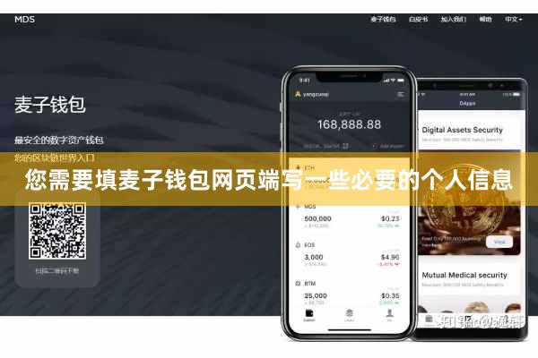 您需要填麦子钱包网页端写一些必要的个人信息