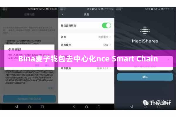 Bina麦子钱包去中心化nce Smart Chain