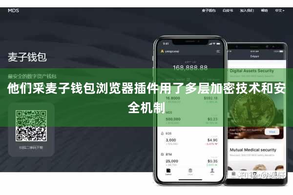 他们采麦子钱包浏览器插件用了多层加密技术和安全机制